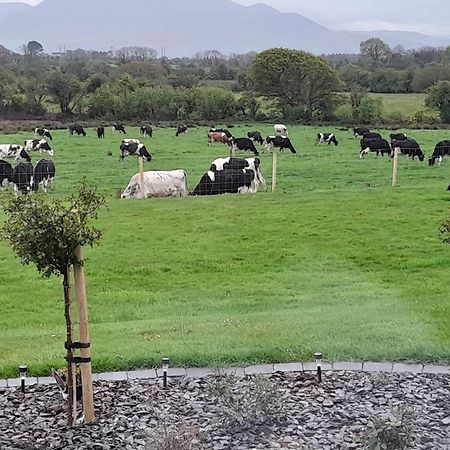 Inch View Lodge Milltown  Exterior foto