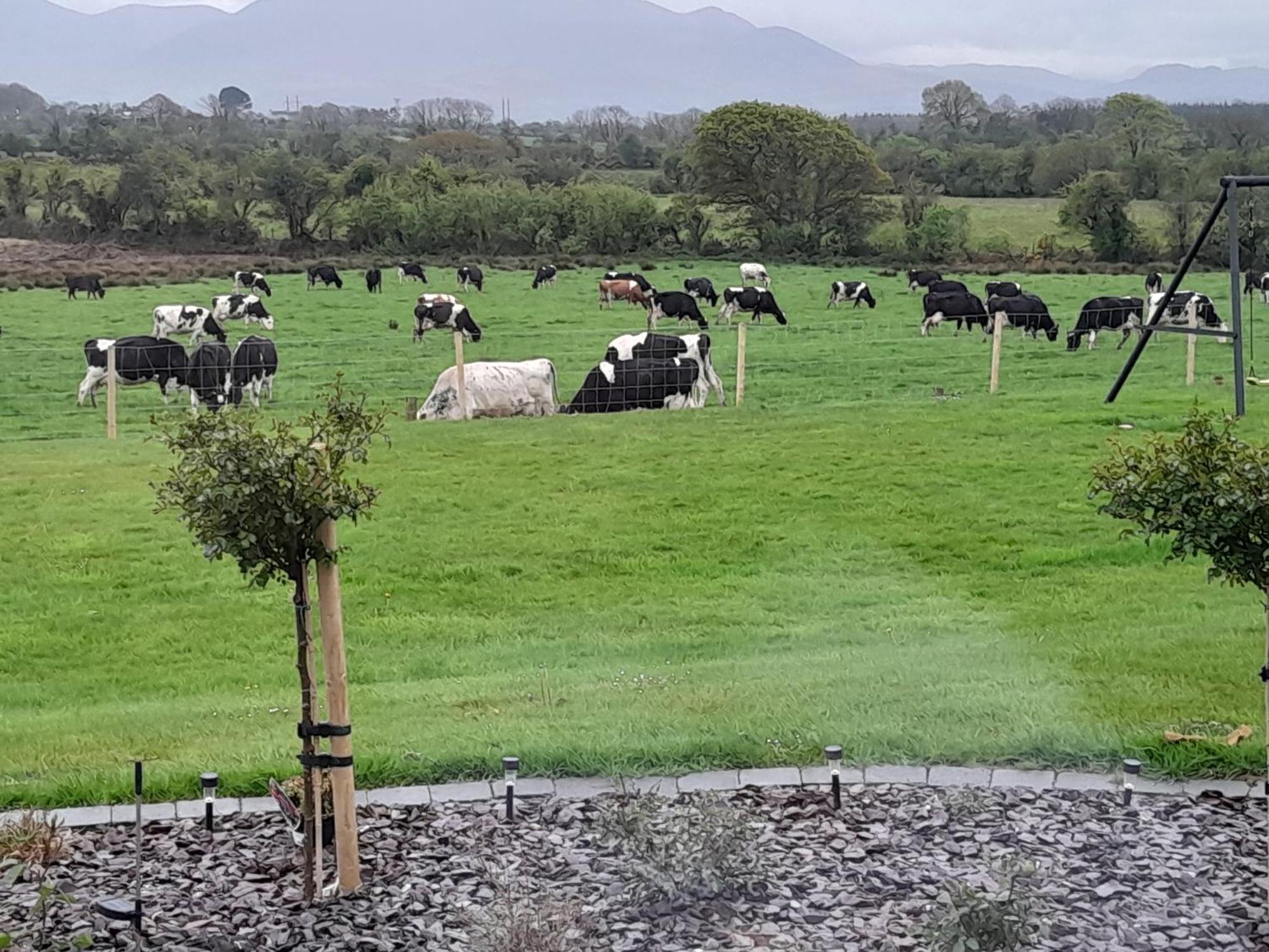 Inch View Lodge Milltown  Exterior foto